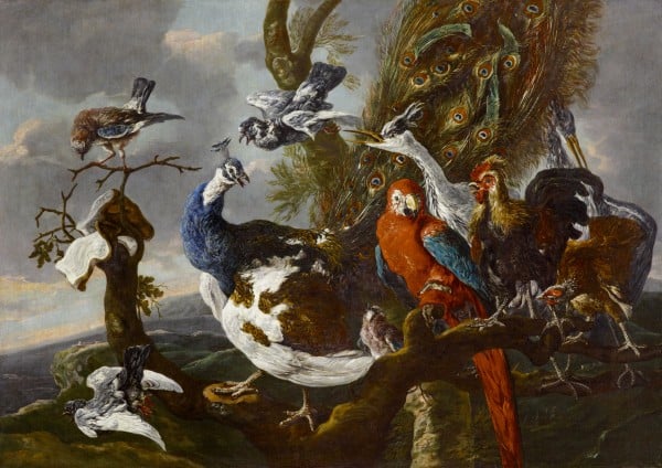 Das Vogelkonzert