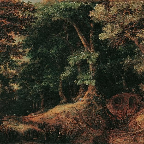 Waldlandschaft