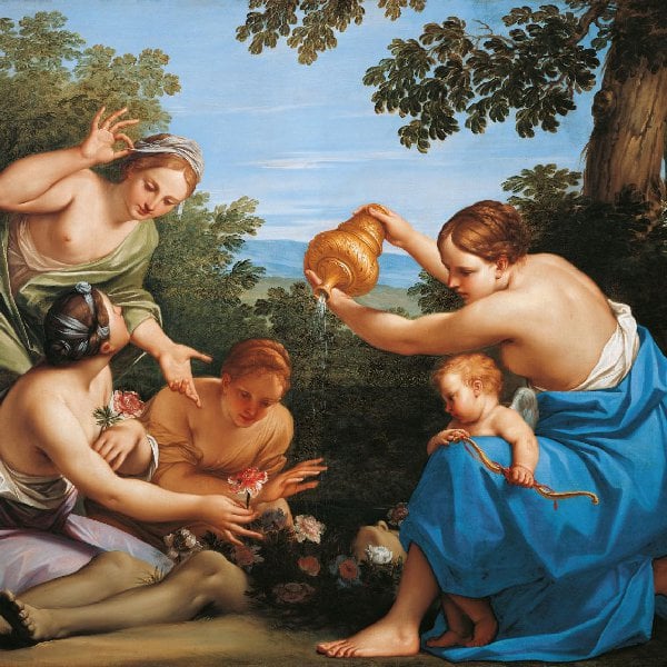 Die Verwandlung des toten Adonis