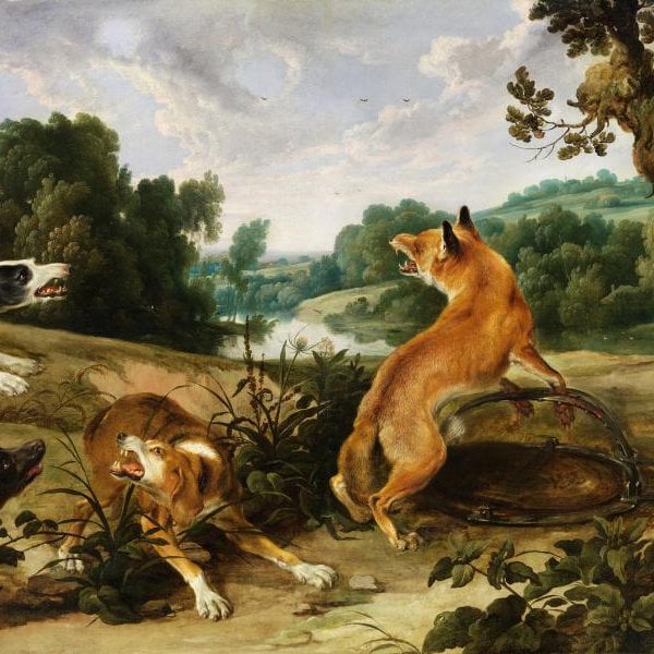 Der Fuchs im Eisen Eine Fuchsjagd in einer weiten Landschaft